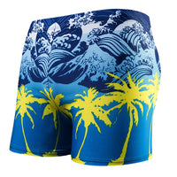 Swimming Trunks Beach Shorts/Boxer Briefs