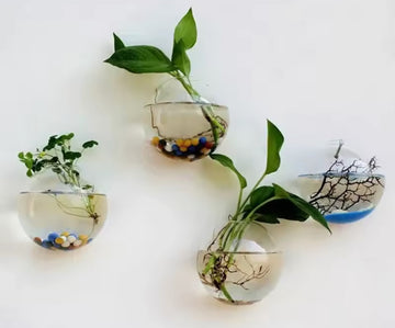 1PCS Hydroponic Glass Vase Wall Hanging
