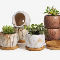 Ceramic Water Transfer Succulent Flower Pots