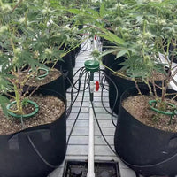 Multi-Outlet Plant Watering Ring – Efficient Drip Irrigation for Home & Garden