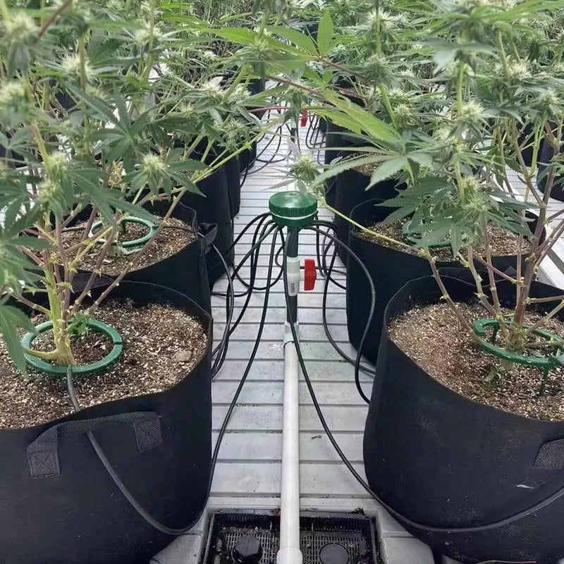 Multi-Outlet Plant Watering Ring – Efficient Drip Irrigation for Home & Garden